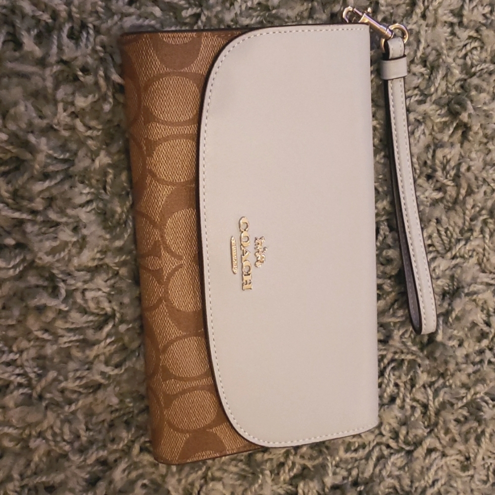 Powder blue Coach clutch